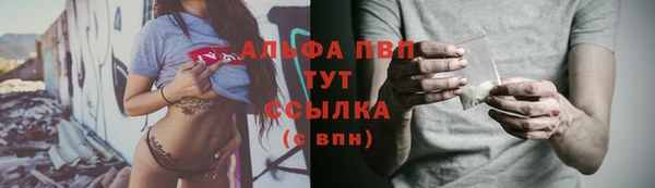 крисы Кинешма