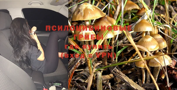 соль ск Киреевск